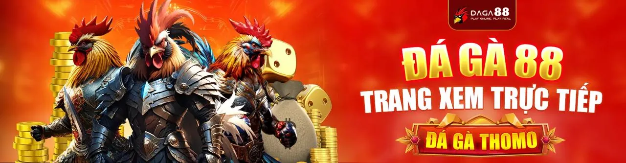 Hình ảnh trừu tượng về chính sách cookie và bảo mật dữ liệu của nex8 trang chủ chính thức